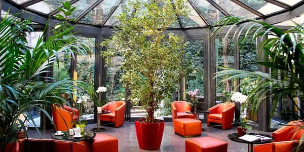 Winter garden in private house and apartment