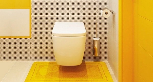 Small Toilet Design Ideas And Tips