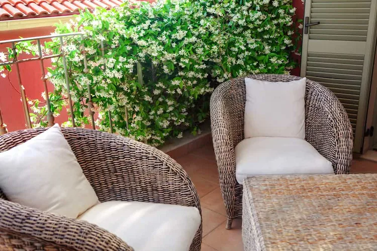 Choose shade-loving plant varieties for a covered terrace or balcony