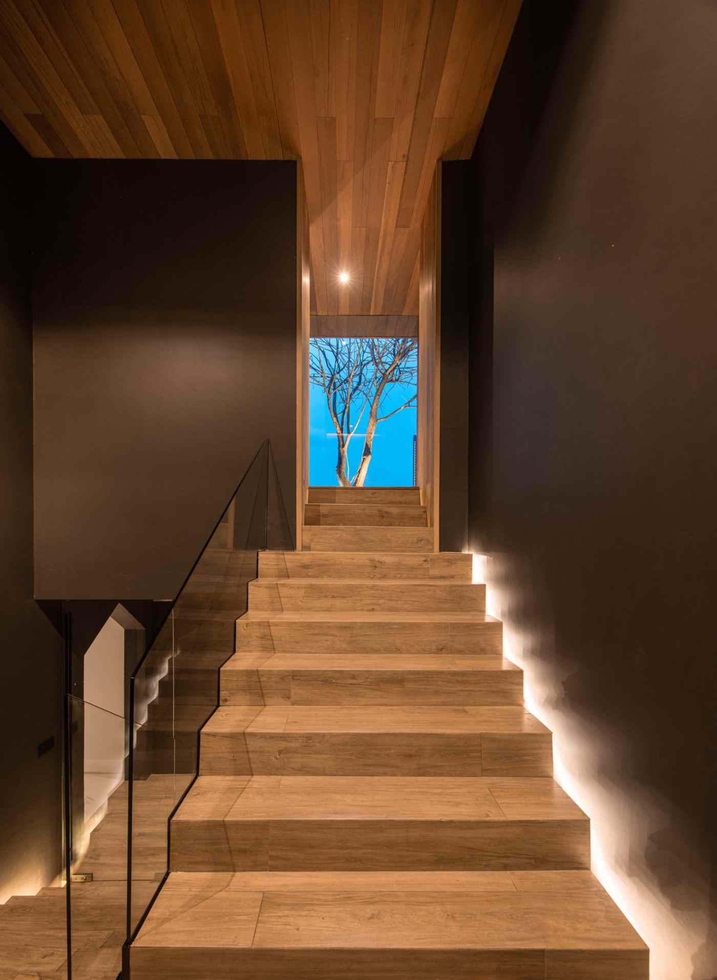 Illuminated wooden stairs leading up with glass fall protection