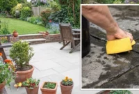 Read more about the article Clean patio tiles: Make the patio shine with soda and 3 other home remedies