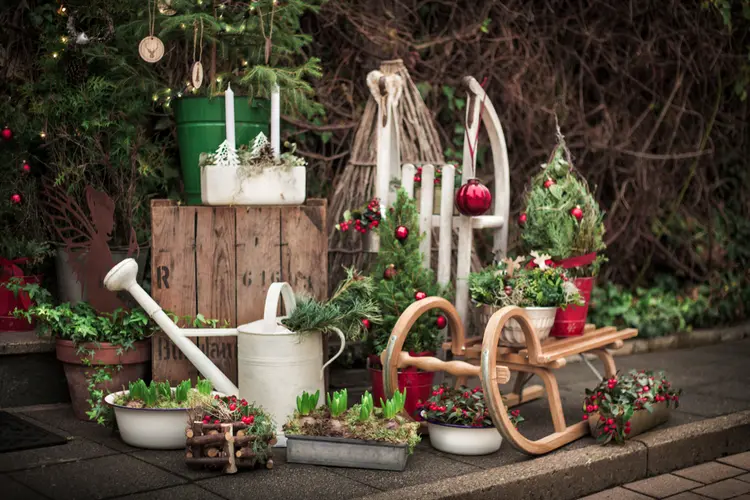 Two wooden sleighs combine with potted plants and spring flower bulbs